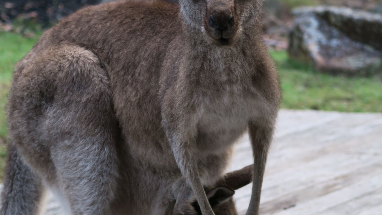 Photo of Outdoor in Vacy
