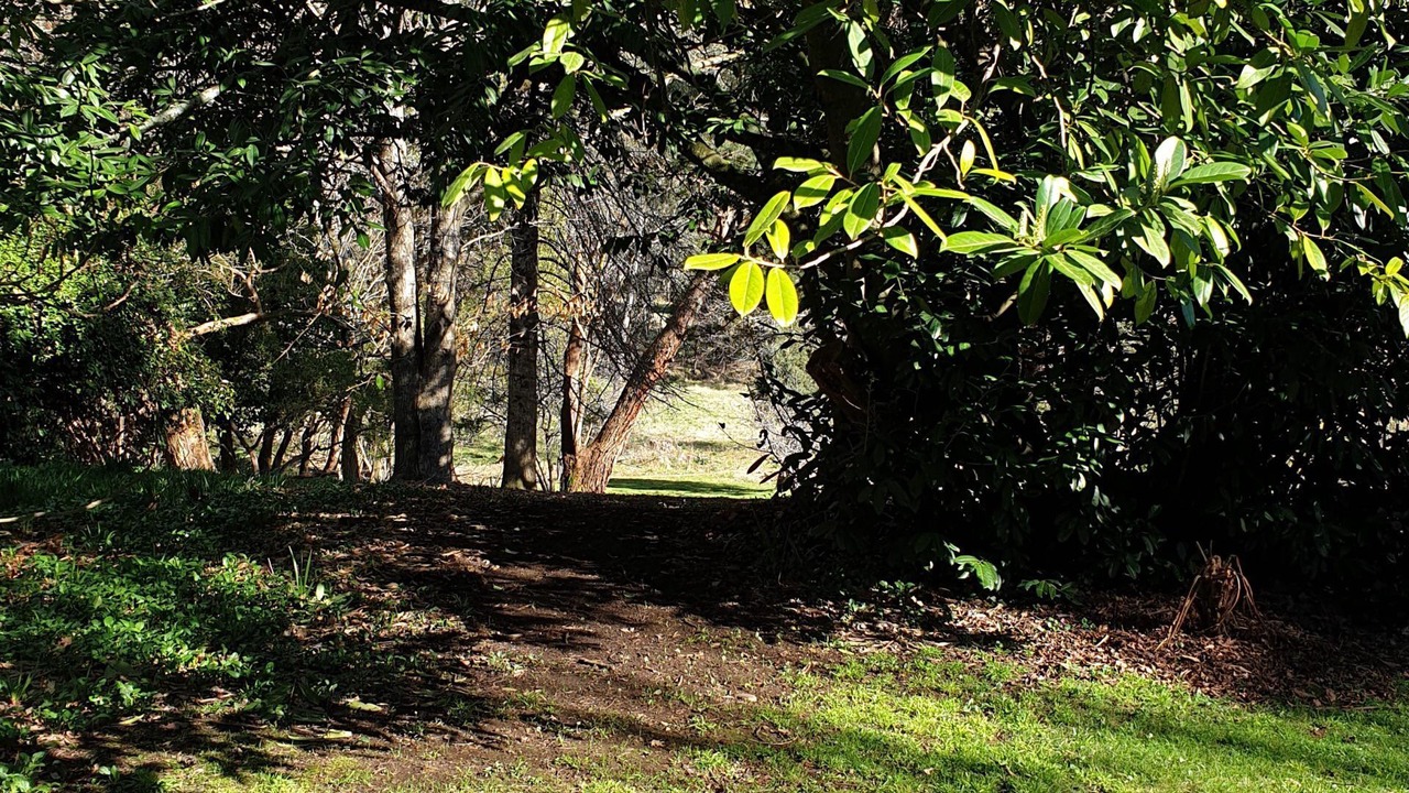 Photo of Outdoor in Wandiligong