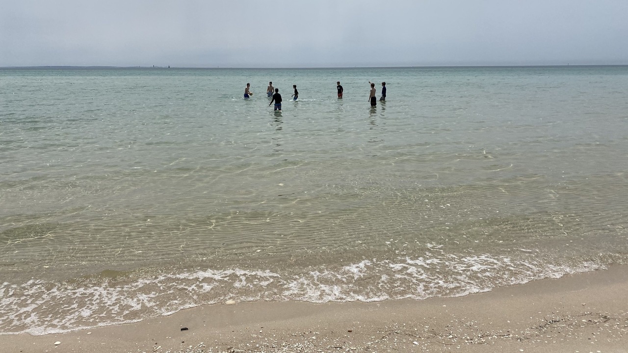 Photo of Others in McCrae