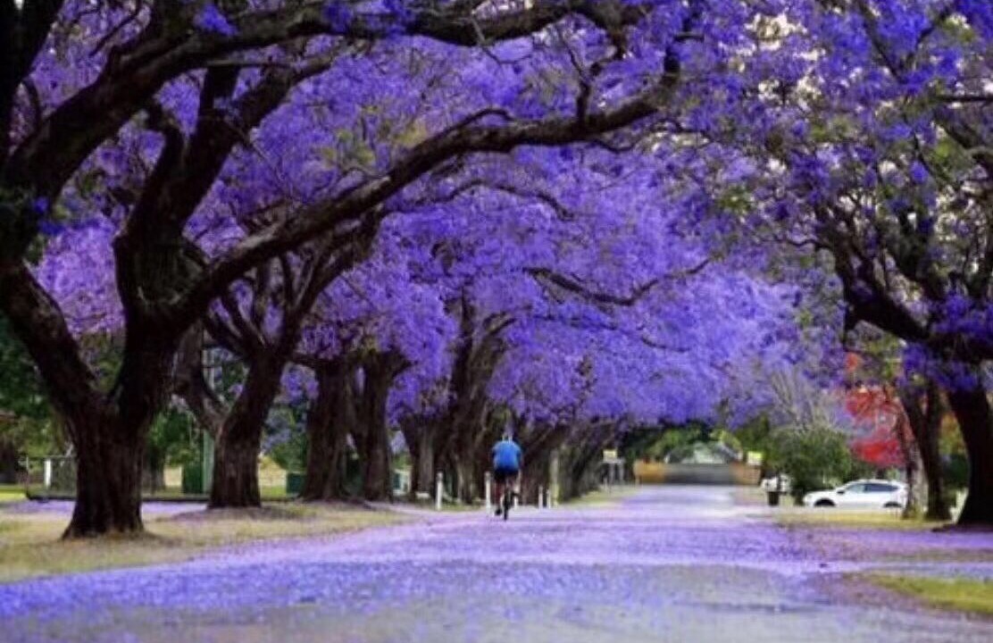 Photo of Outdoor in Glen Waverley