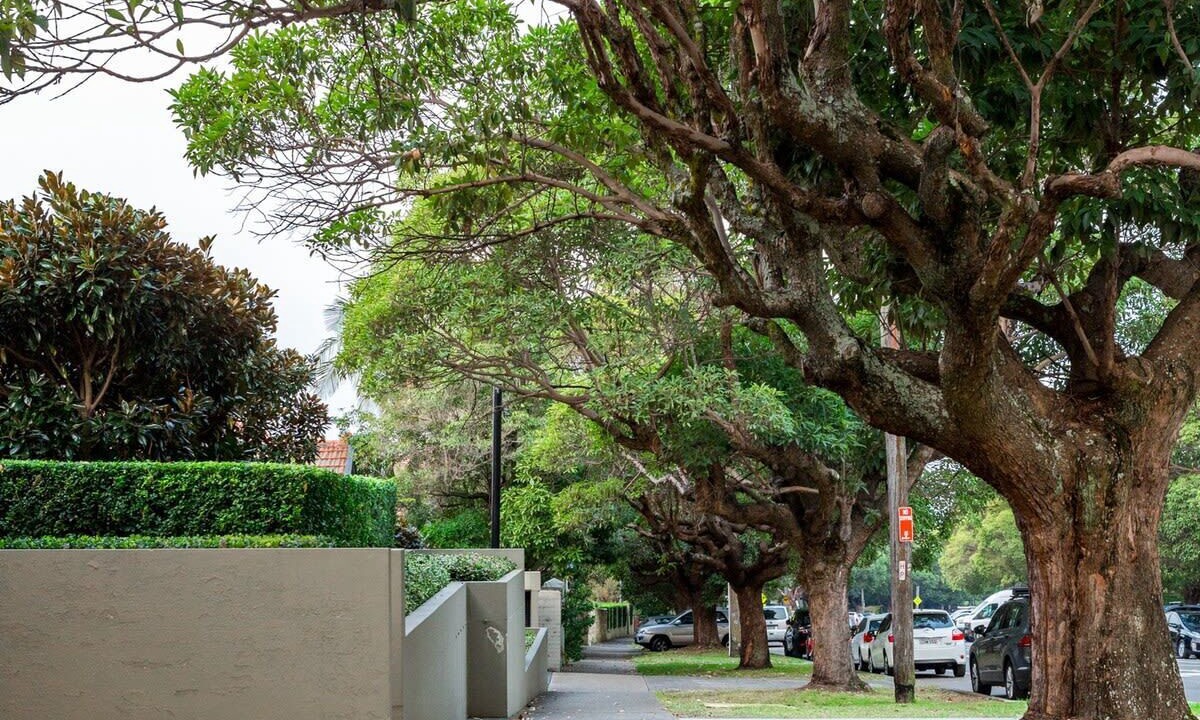 Photo of Others in Bellevue Hill