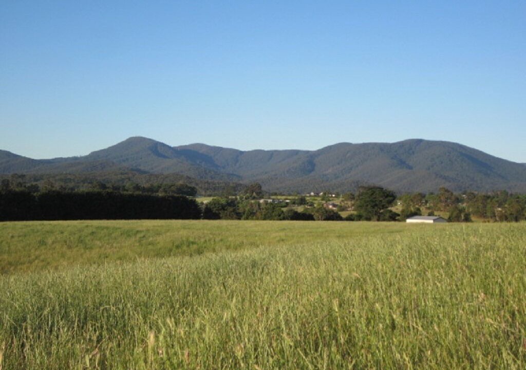 Photo of Others in Badger Creek