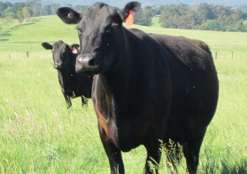 Photo of Others in Badger Creek