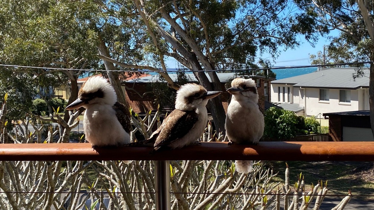Photo of Others in Salamander Bay