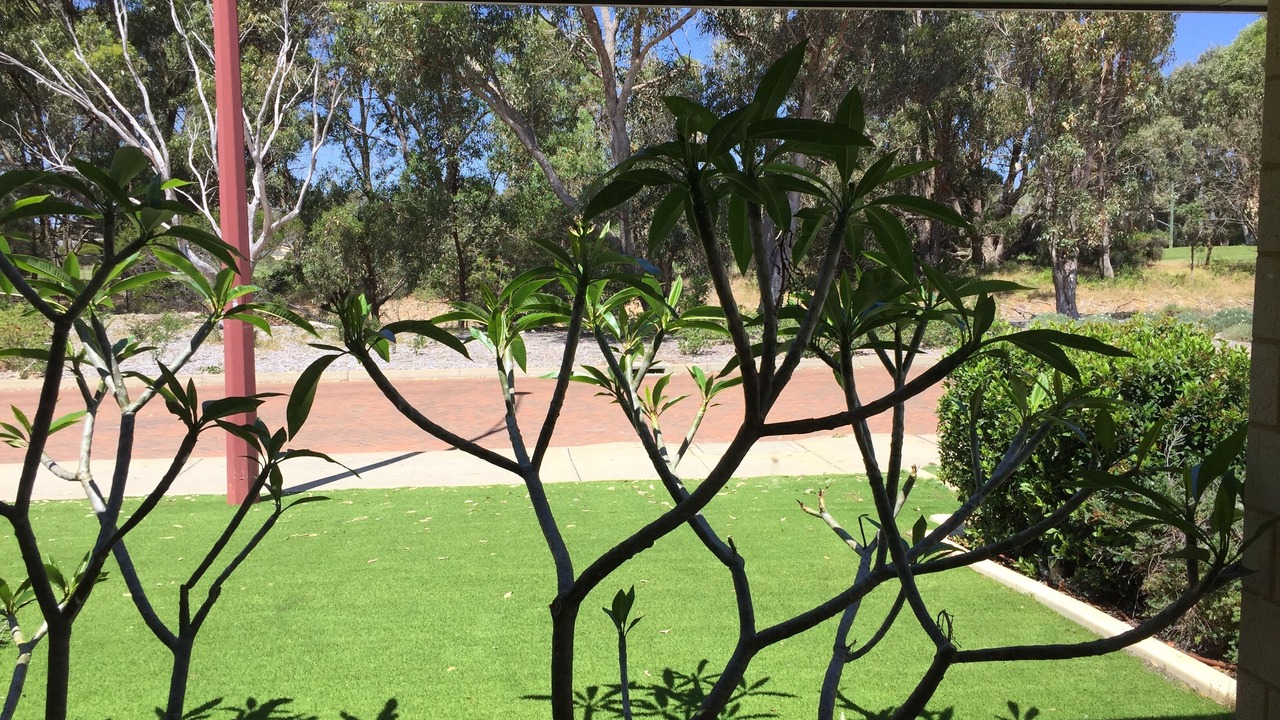 Photo of Outdoor in Meadow Springs
