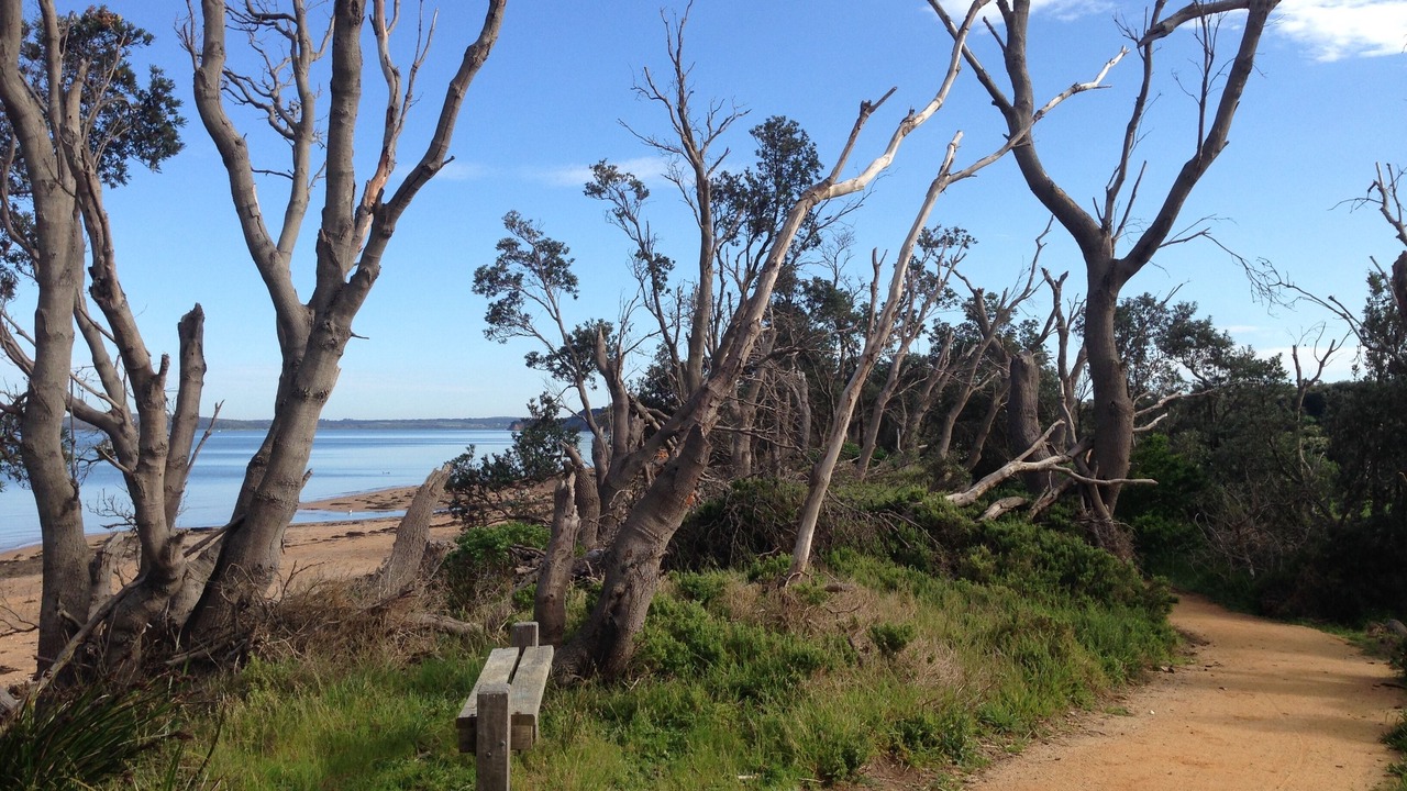 Photo of Others in Coronet Bay