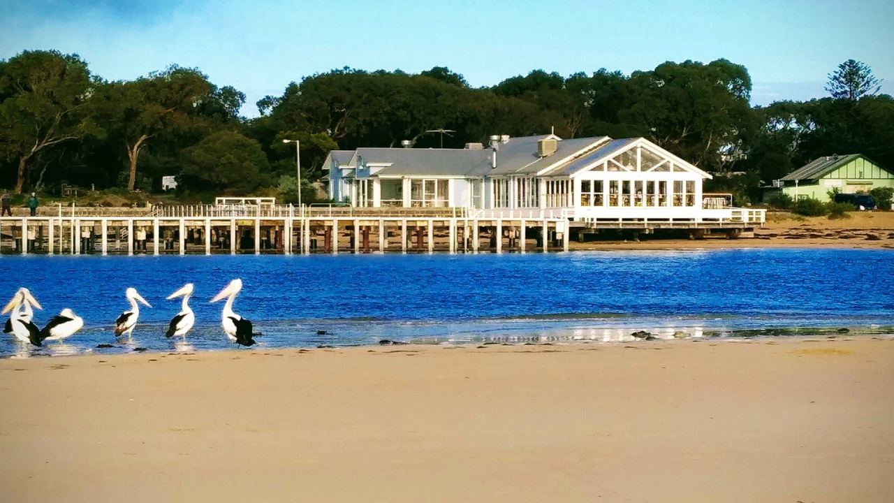 Photo of Others in Ocean Grove