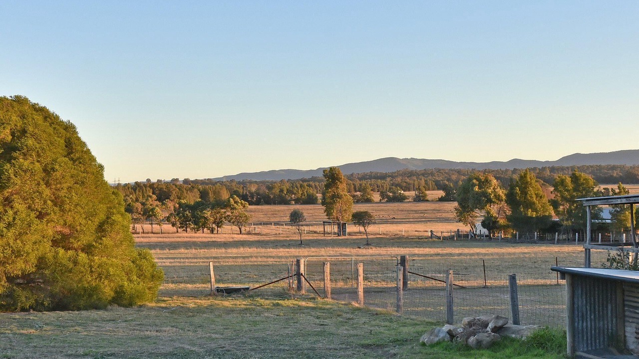 Photo of Others in Lovedale
