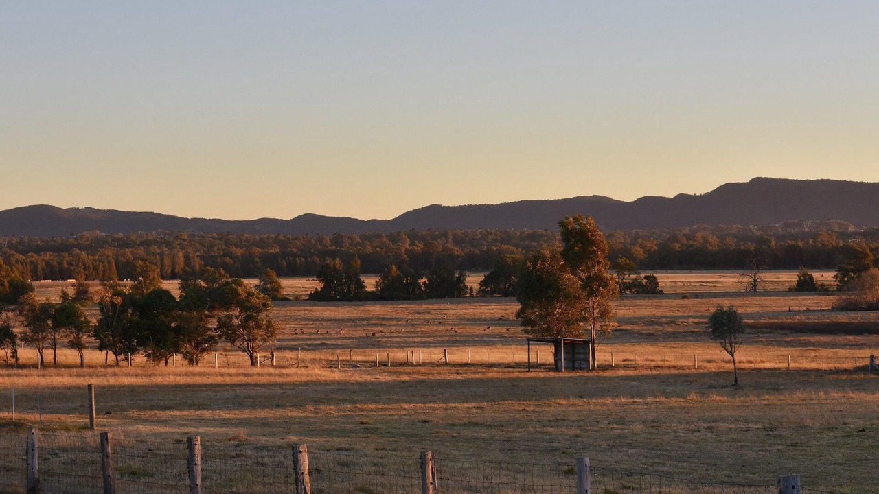 Photo of Others in Lovedale