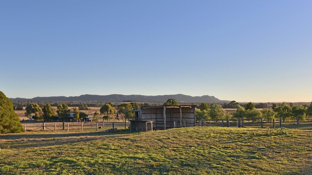 Photo of Others in Lovedale