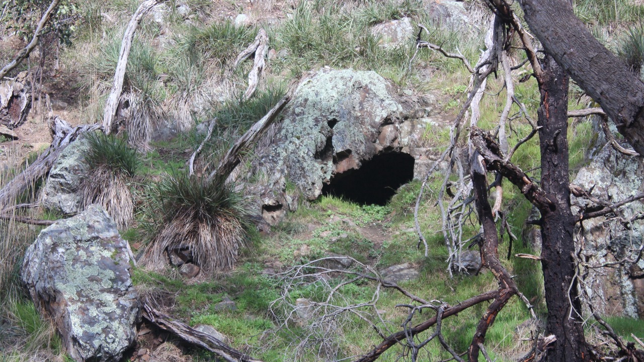 Photo of Outdoor in Anakie