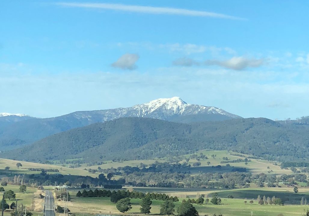 Photo of Others in Bonnie Doon