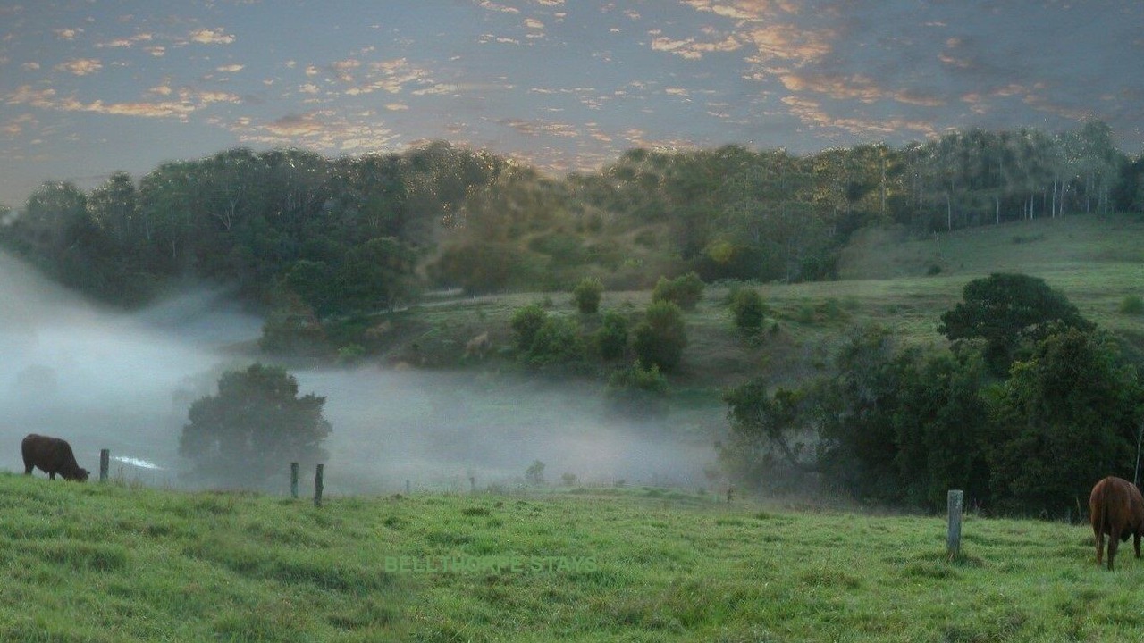 Photo of Outdoor in Bellthorpe