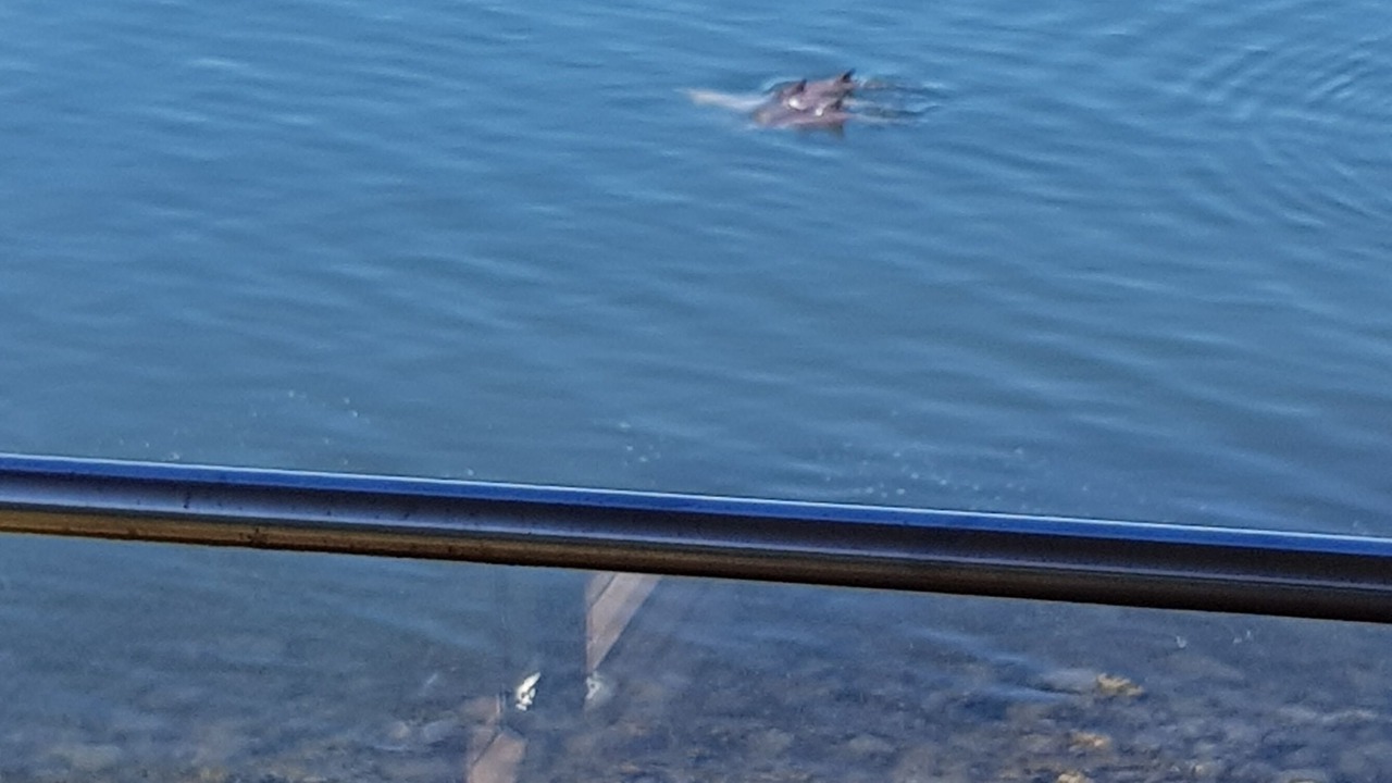 Photo of Patio Balcony in North Arm Cove