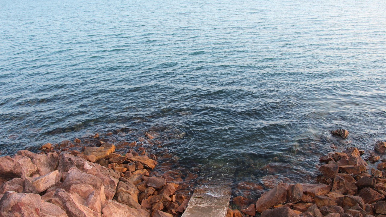 Photo of Others in North Arm Cove