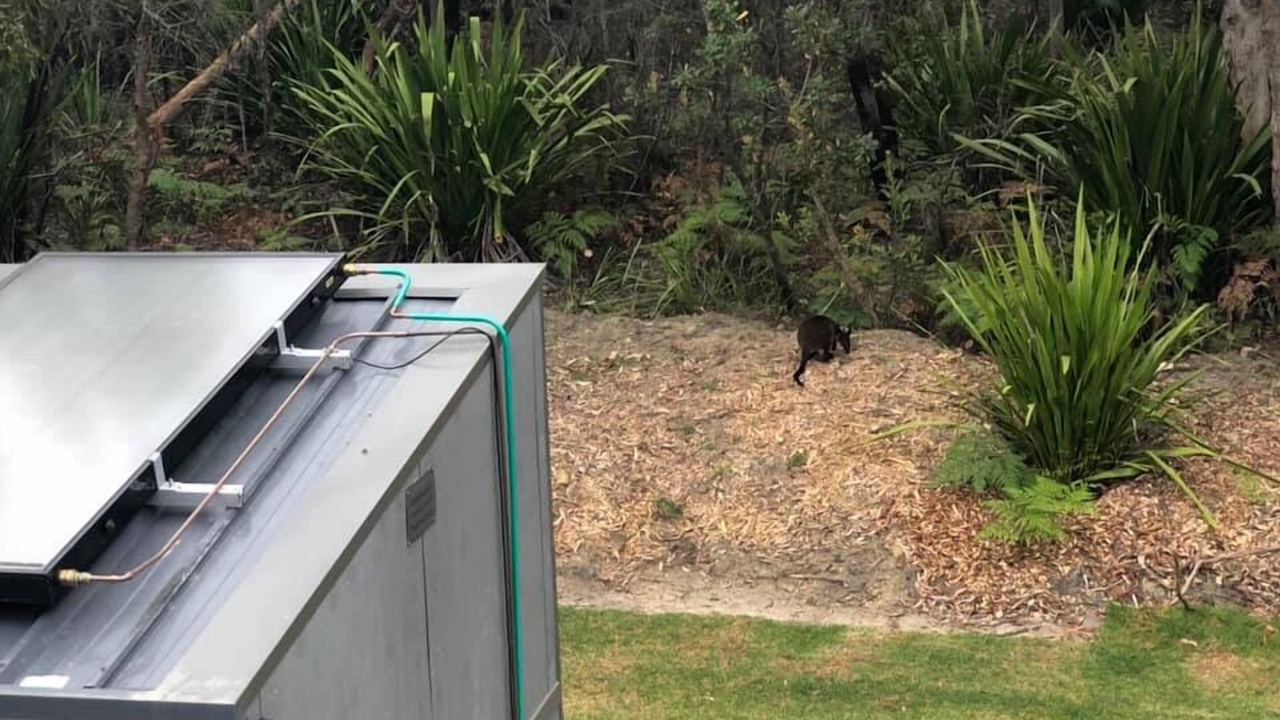 Photo of Others in Stanwell Tops