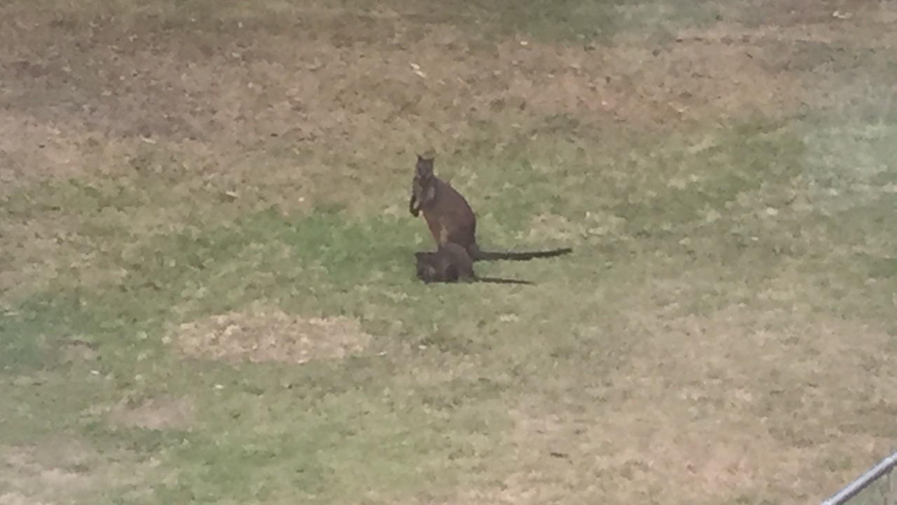 Photo of Others in Stanwell Tops
