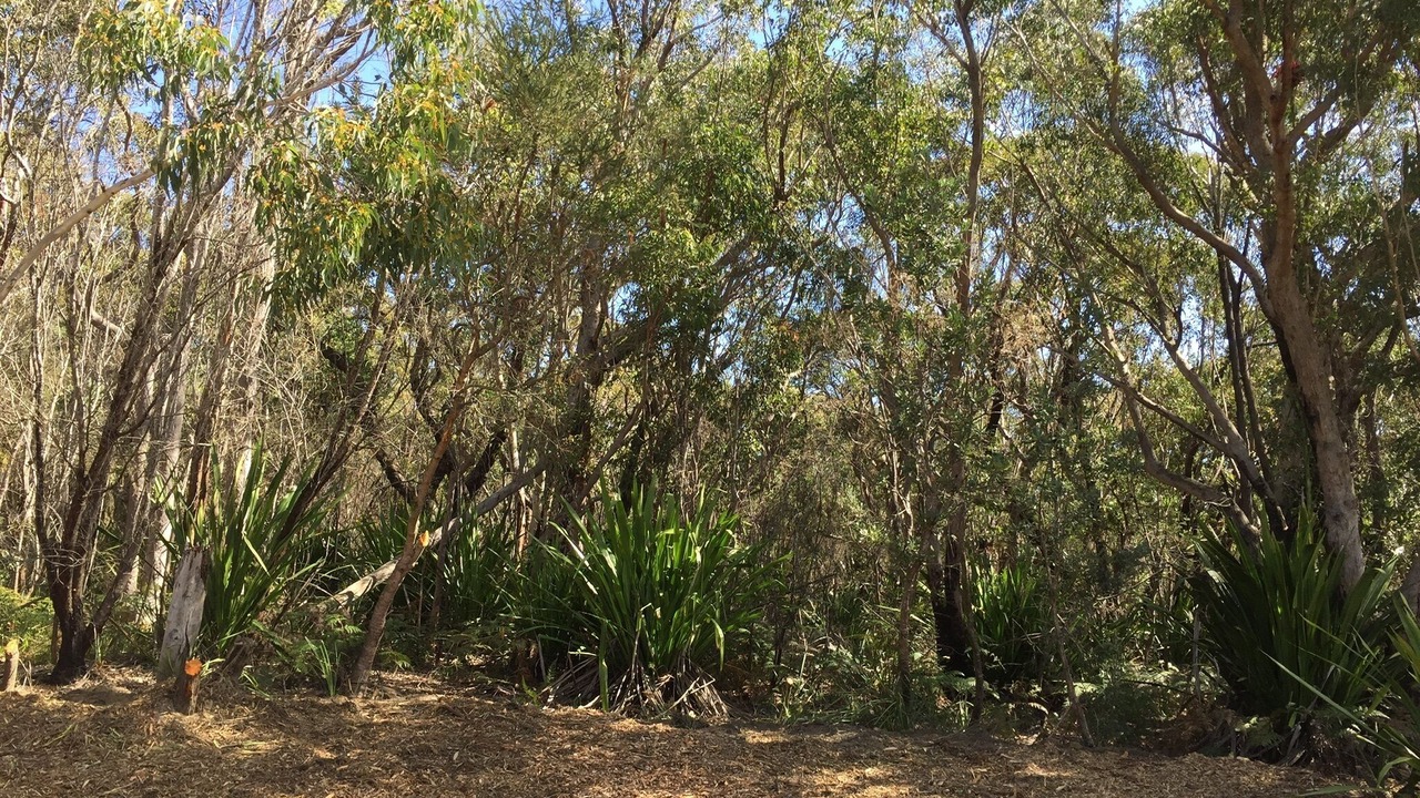 Photo of Others in Stanwell Tops