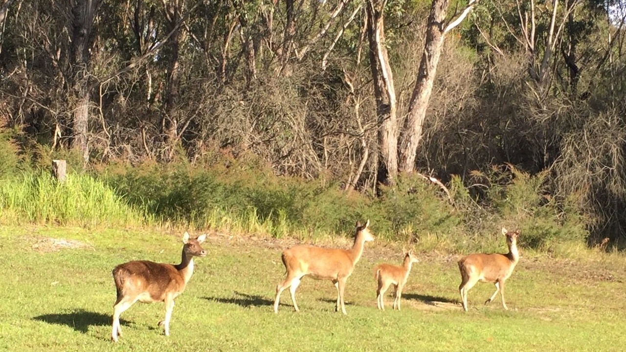 Photo of Others in Stanwell Tops