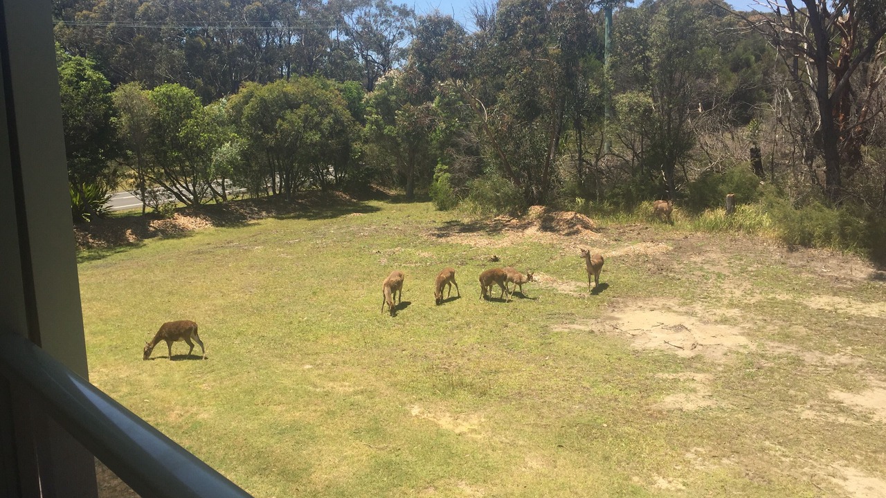 Photo of Others in Stanwell Tops