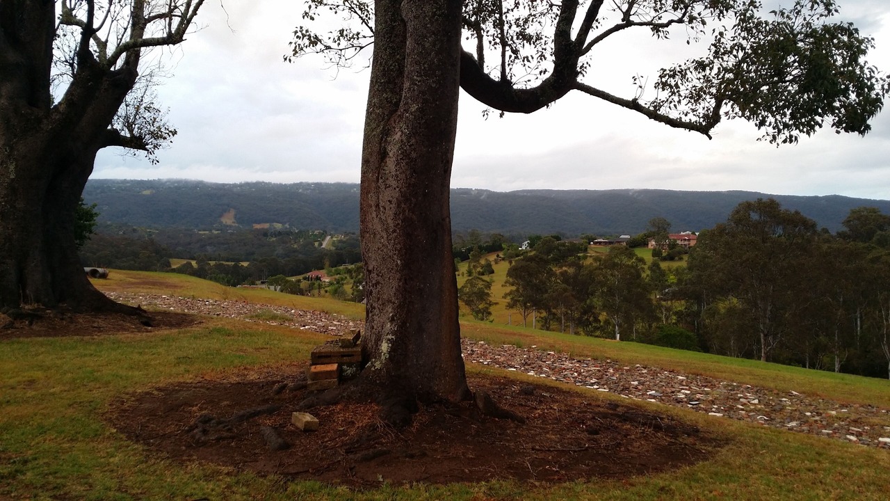 Photo of Outdoor in Kurrajong