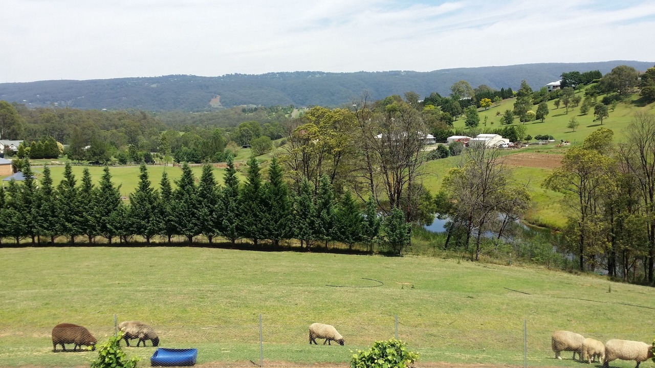 Photo of Others in Kurrajong