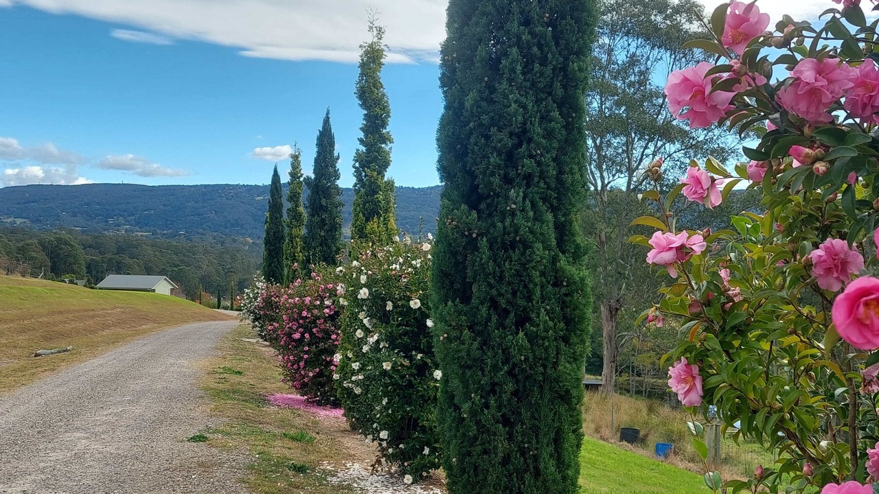 Photo of Outdoor in Kurrajong