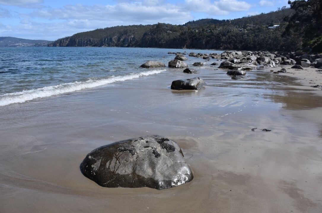 Photo of Others in Taroona