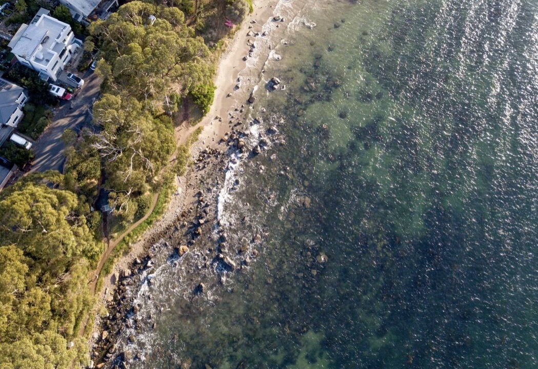 Photo of Others in Taroona