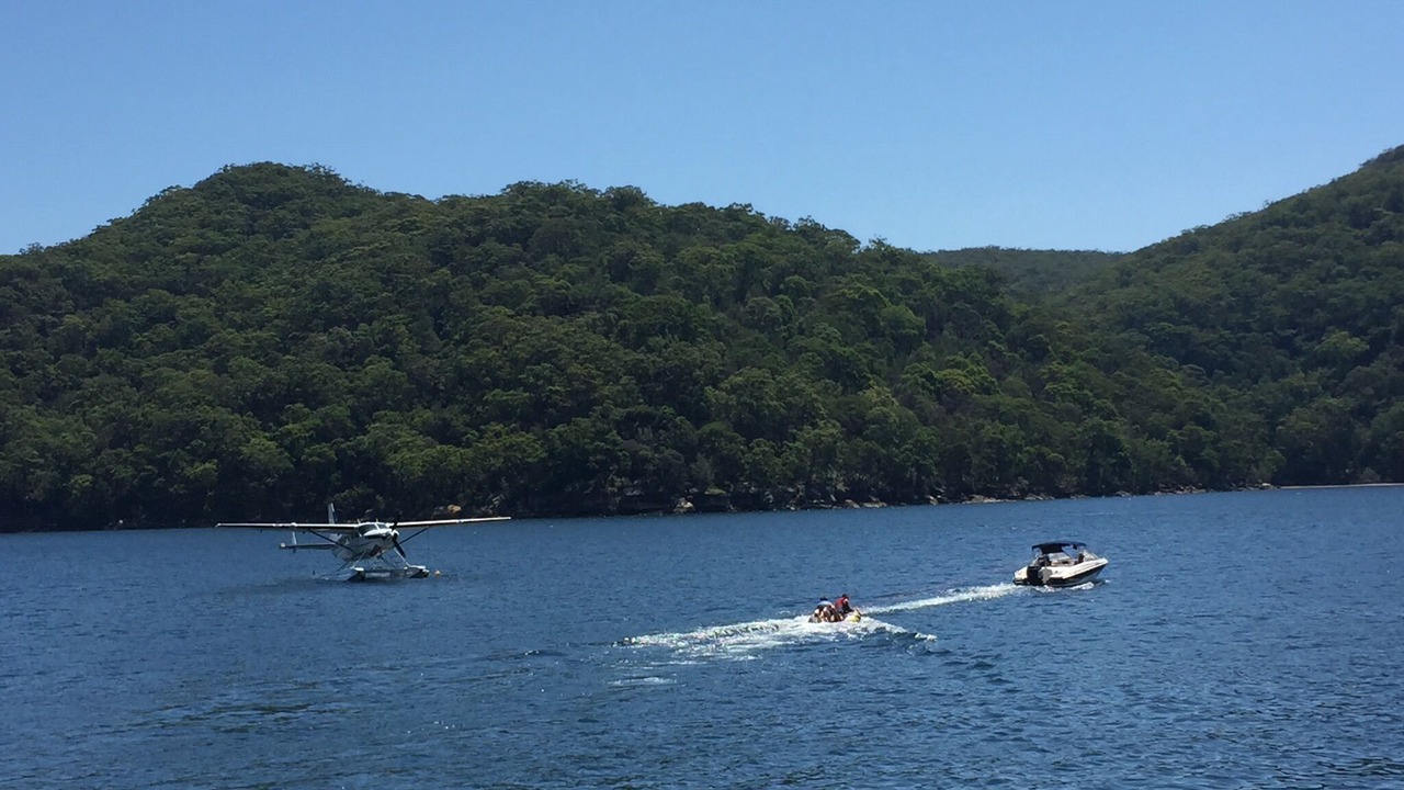 Photo of Others in Cottage Point