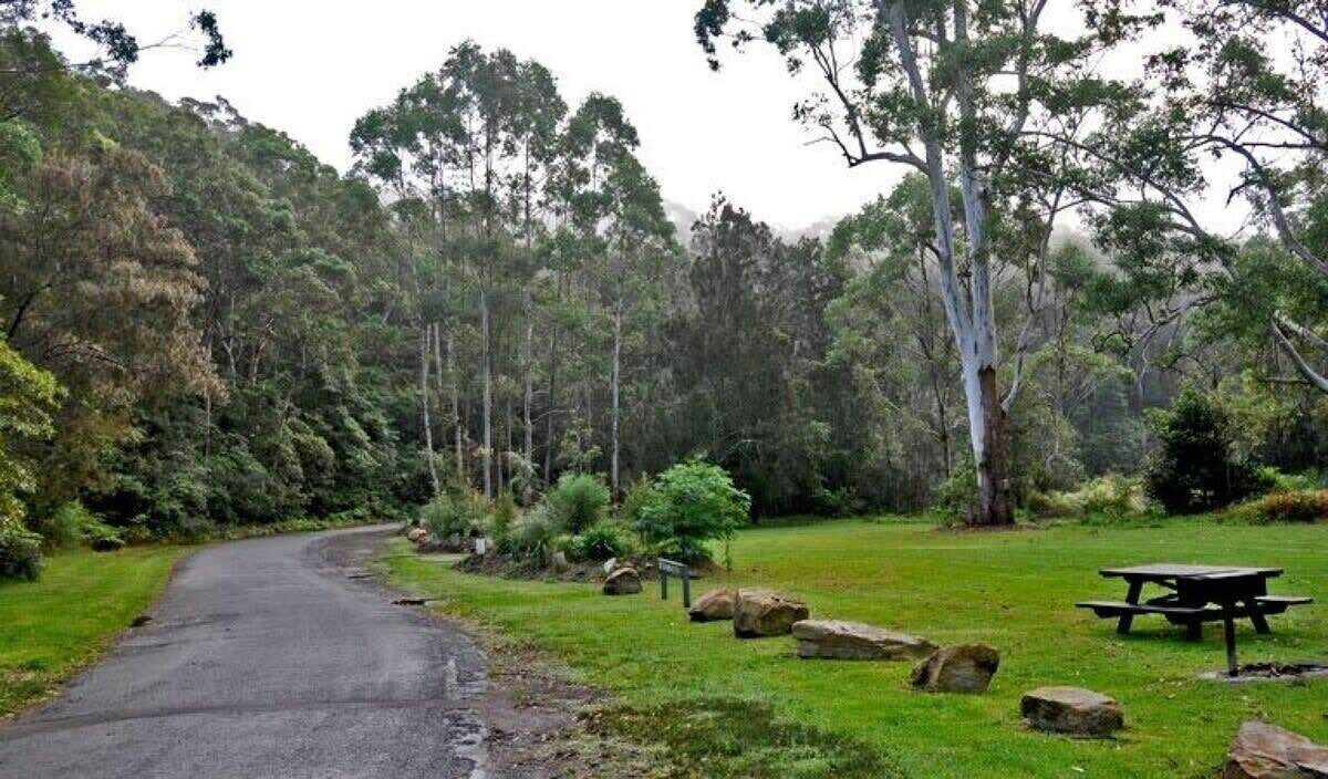 Photo of Others in Lane Cove