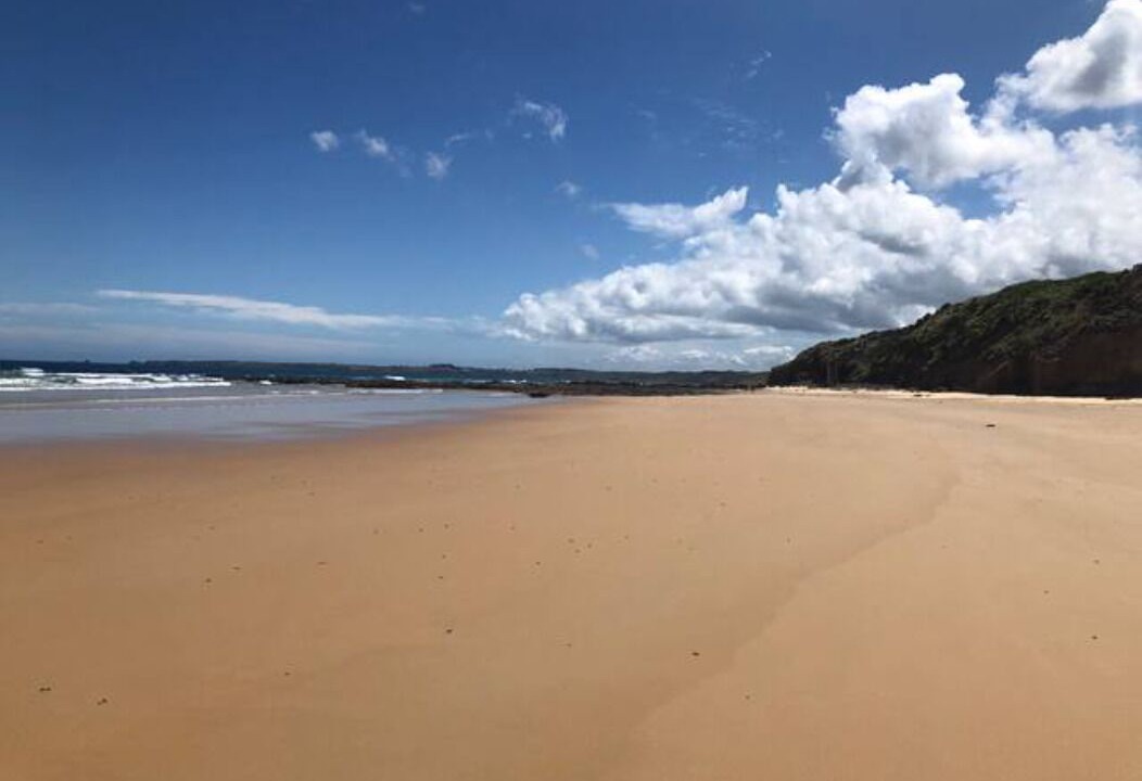 Photo of Others in Surf Beach