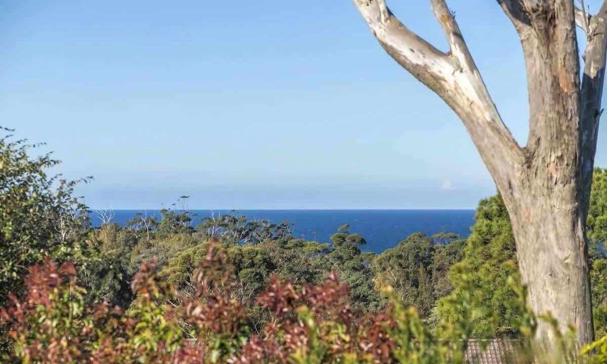 Photo of Others in Mollymook