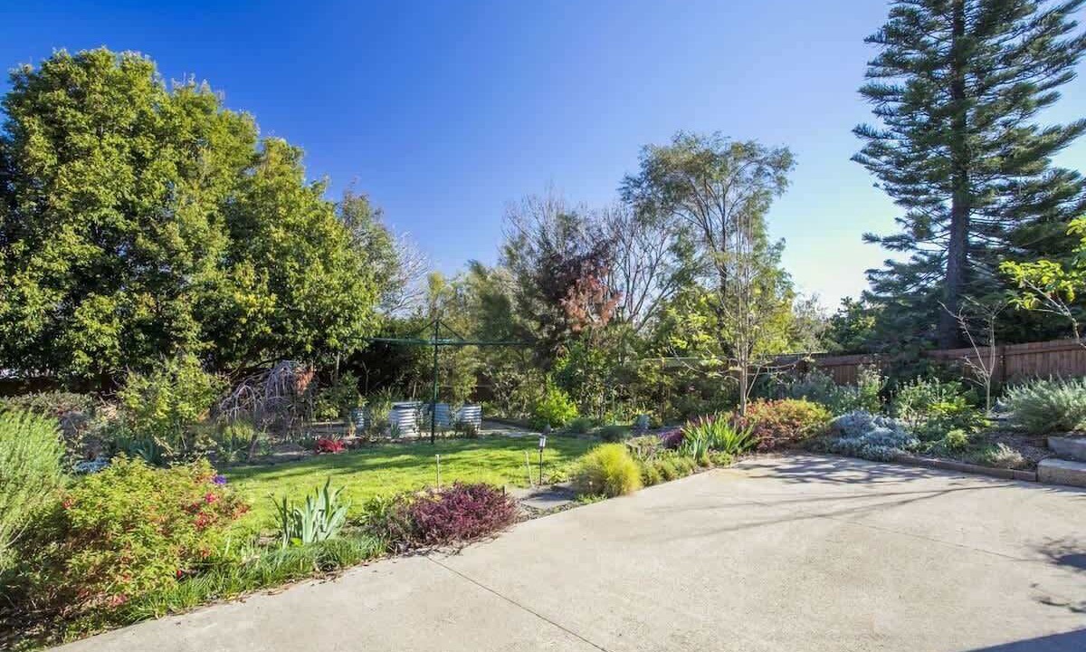 Photo of Outdoor in Mollymook
