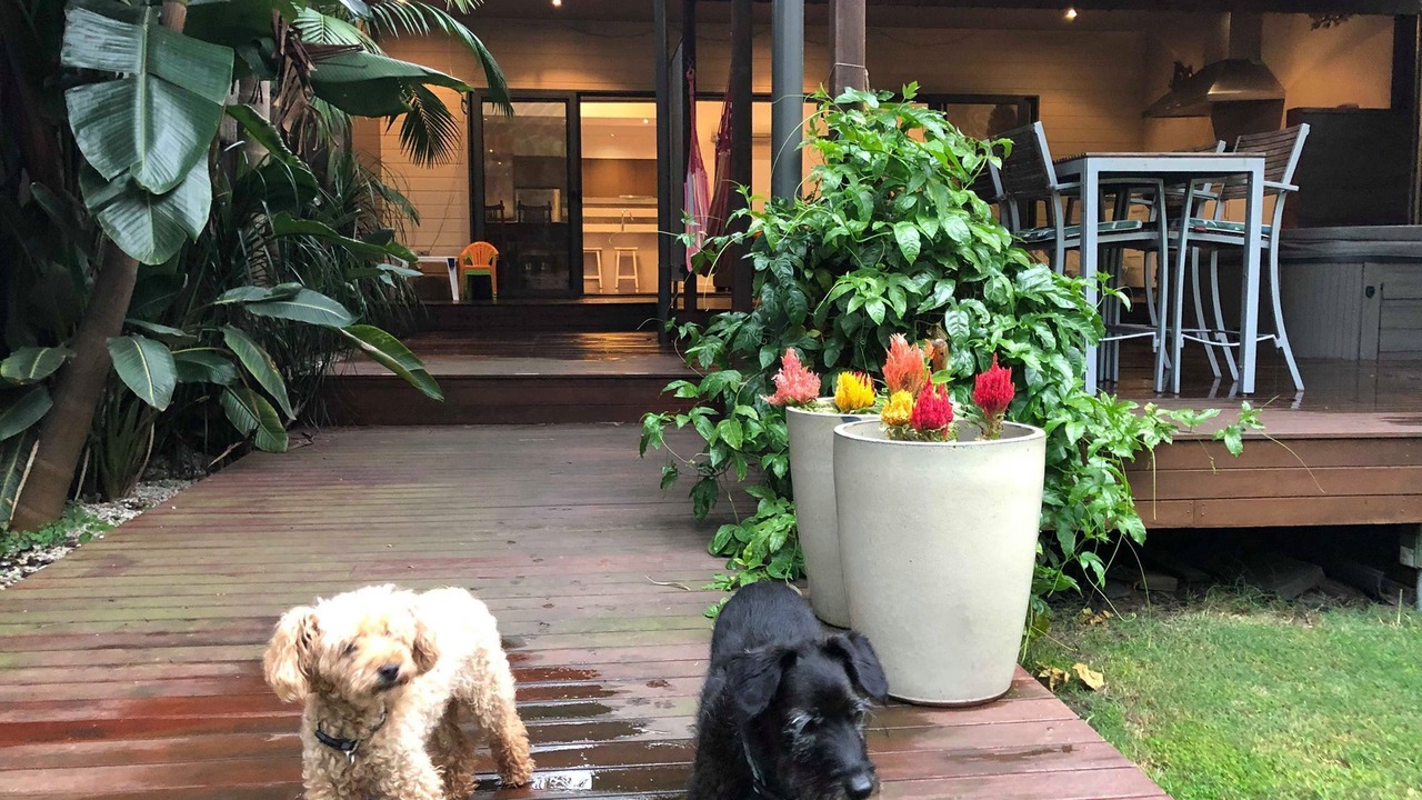 Photo of Outdoor in Moruya Heads