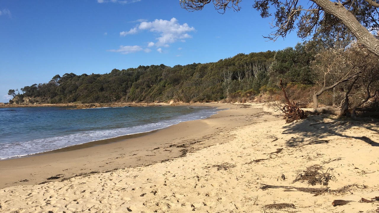 Photo of Others in Moruya Heads