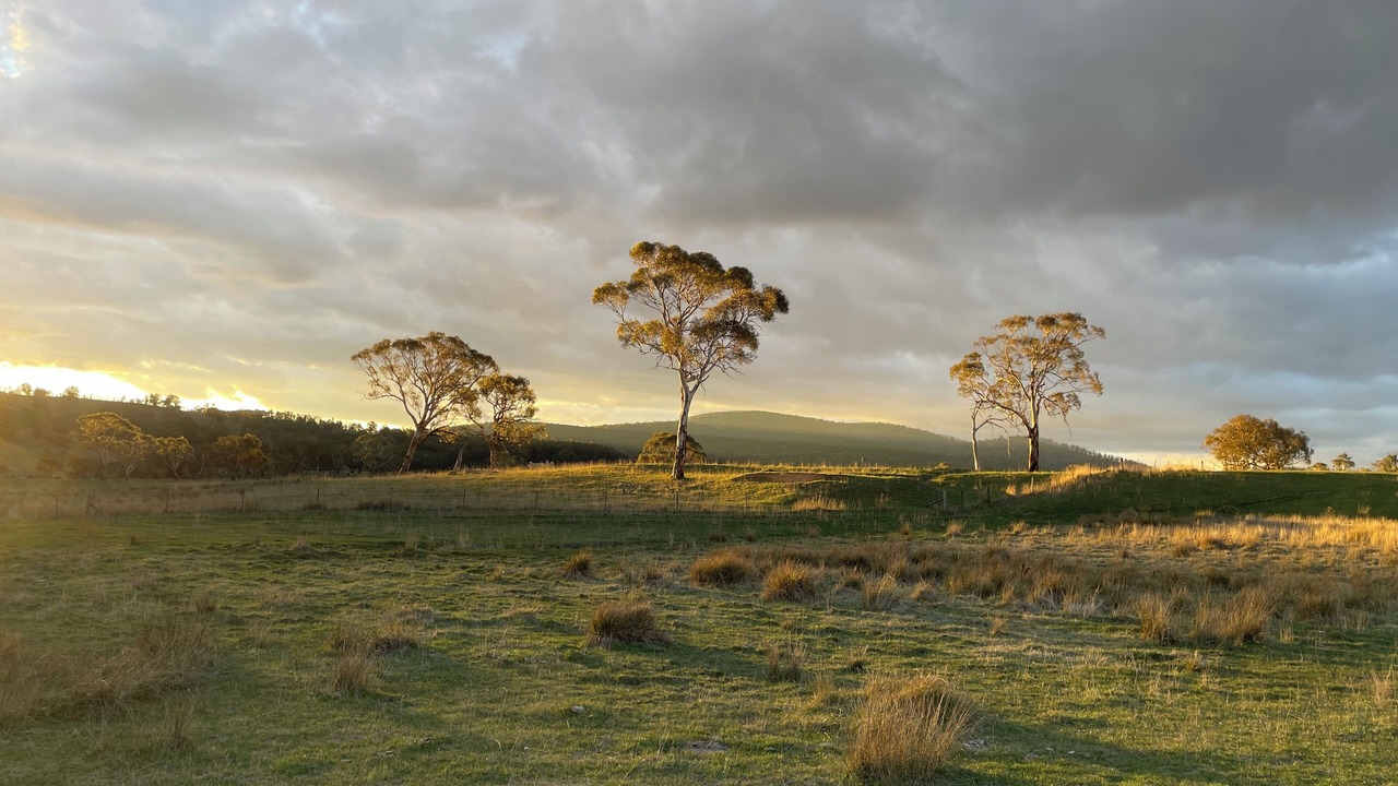 Photo of Others in Adaminaby