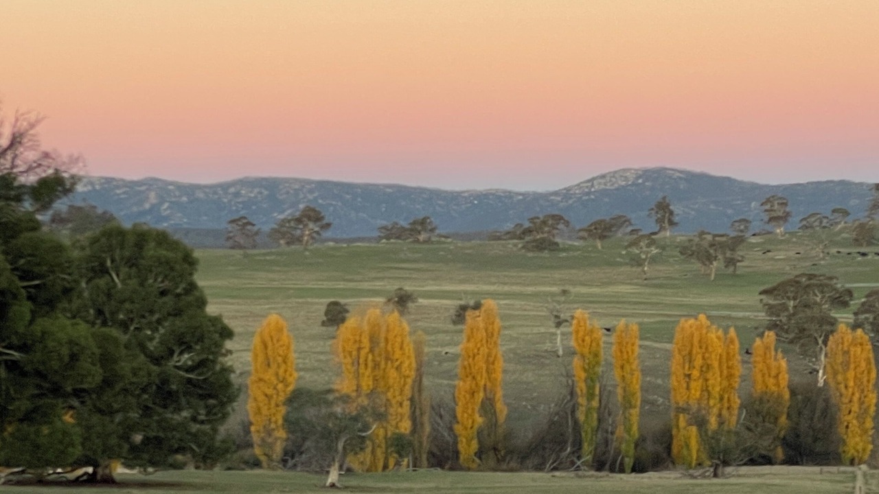 Photo of Others in Adaminaby