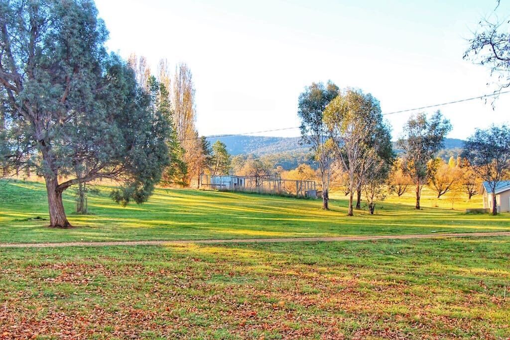 Photo of Others in Adaminaby