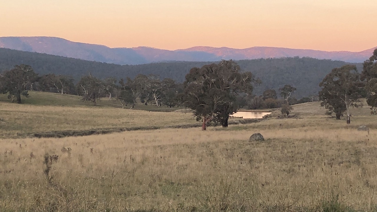Photo of Outdoor in Adaminaby