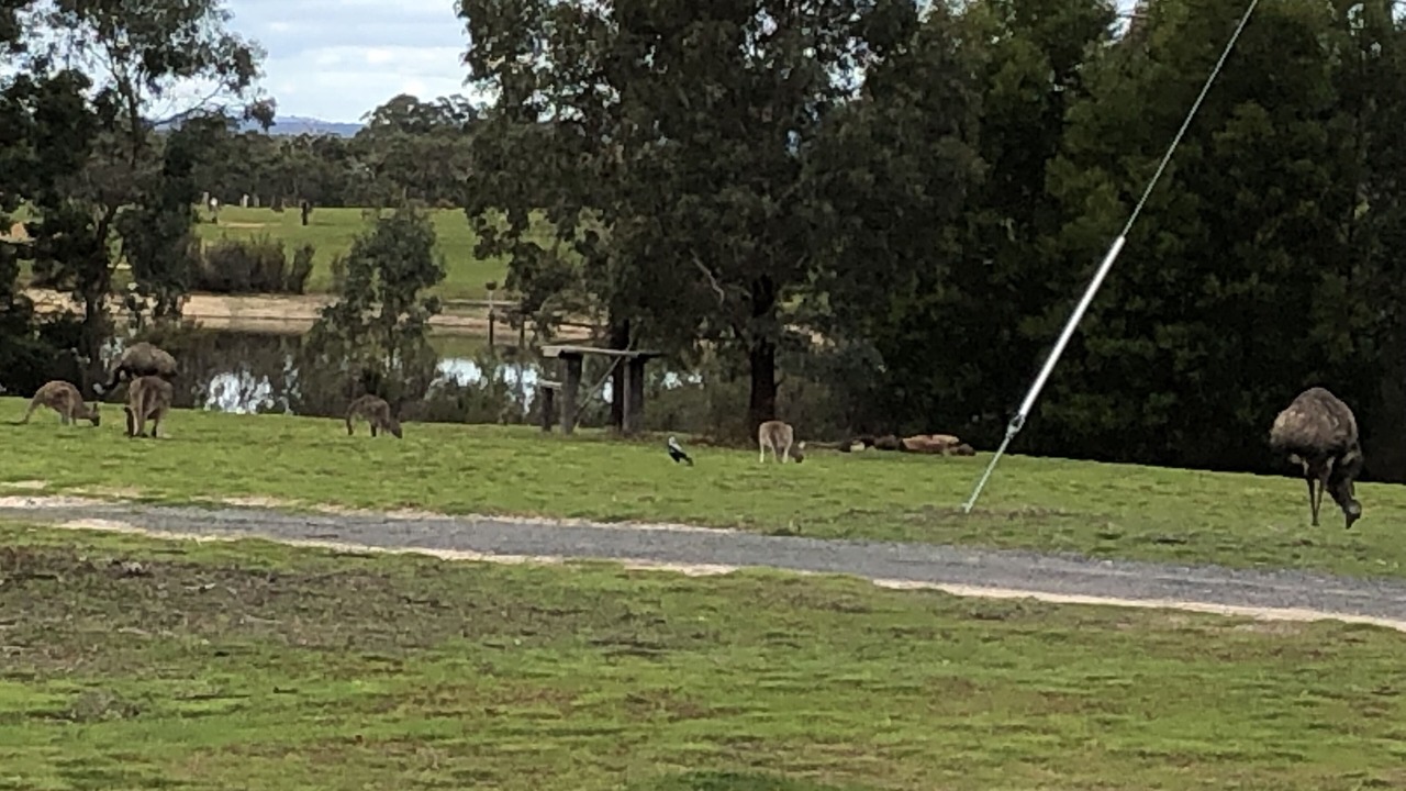 Photo of Others in Halls Gap