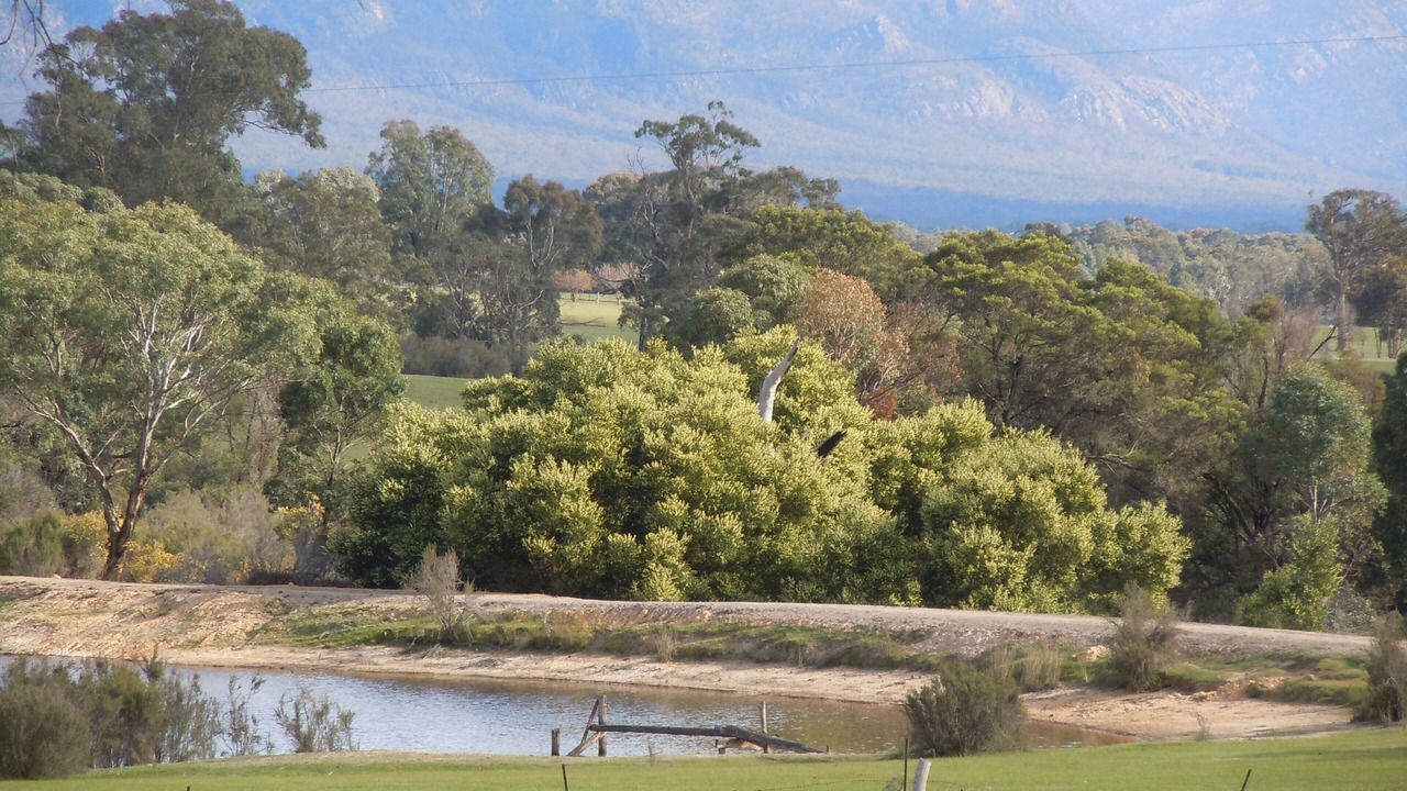 Photo of Others in Halls Gap