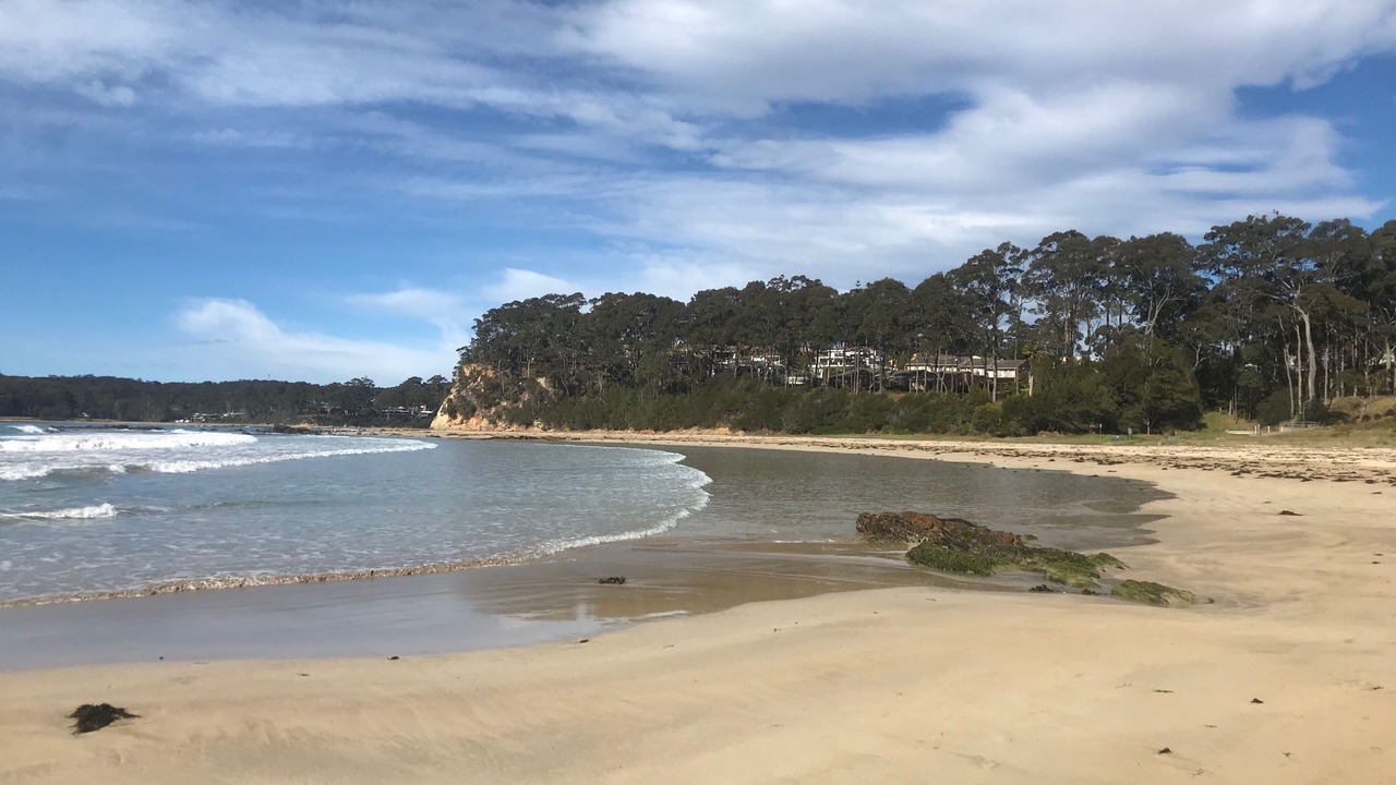 Photo of Others in Denhams Beach