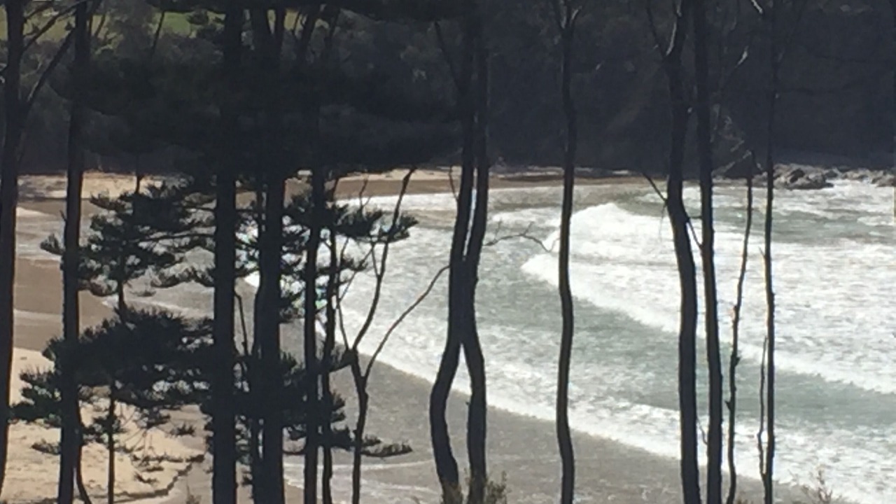 Photo of Others in Denhams Beach