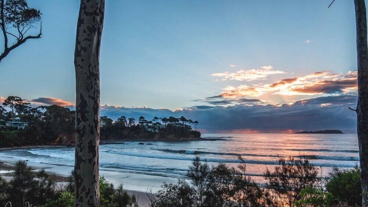 Photo of Others in Denhams Beach