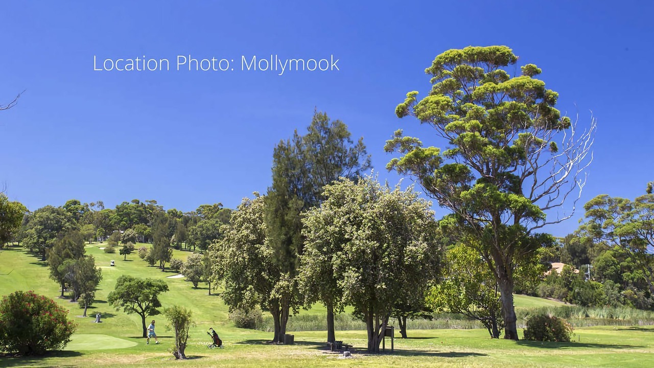 Photo of Others in Mollymook