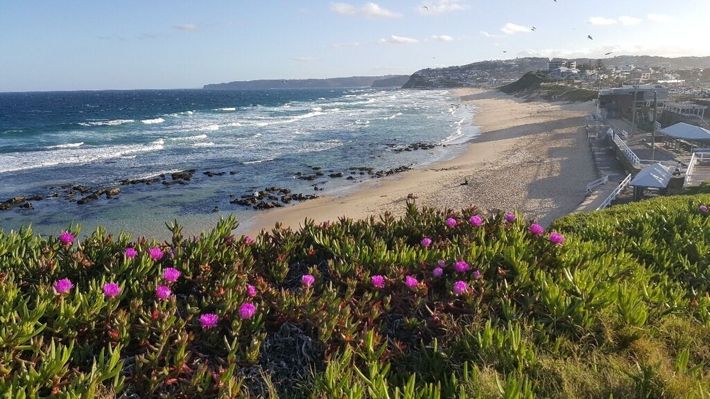 Photo of Outdoor in Bar Beach