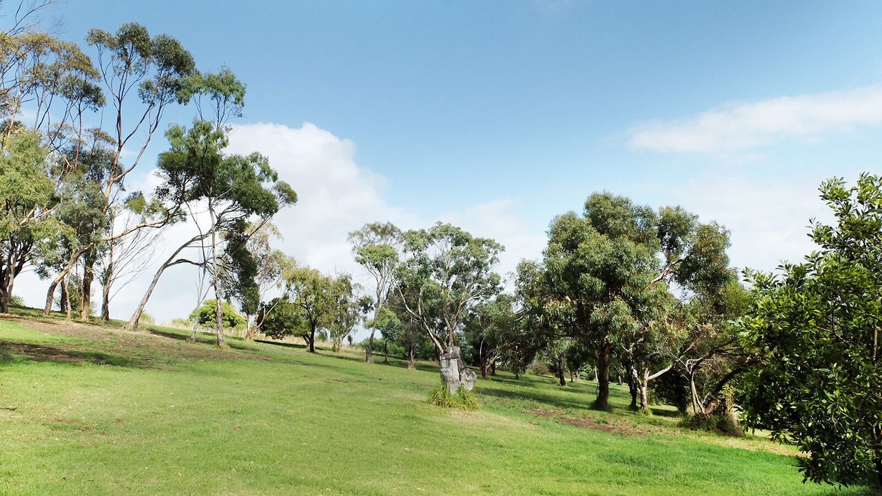 Photo of Others in Mount Gambier