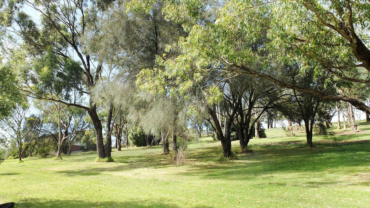 Photo of Outdoor in Mount Gambier
