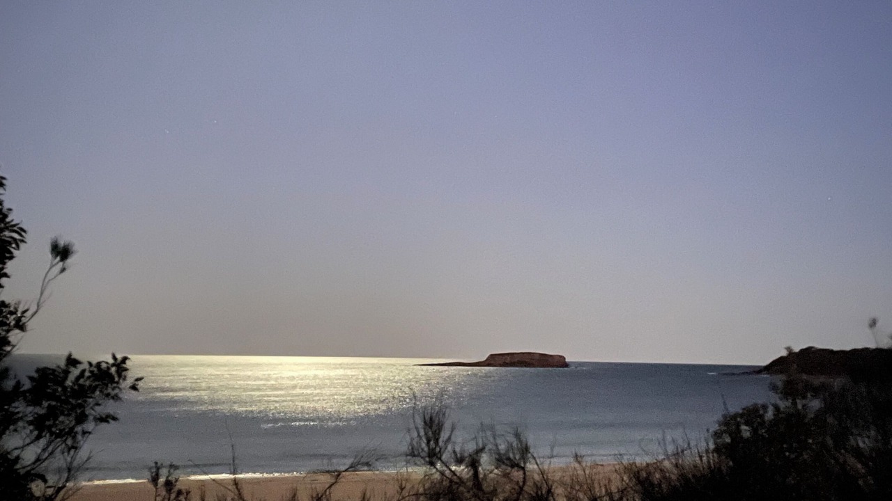 Photo of Others in South Durras